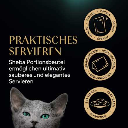 Nassfutter Katze Kitten mit Lachs & Huhn, feine Vielfalt in Sauce, Junior Multipack (12x85 g) Sheba