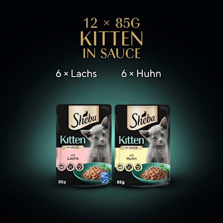 Nassfutter Katze Kitten mit Lachs & Huhn, feine Vielfalt in Sauce, Junior Multipack (12x85 g) Sheba