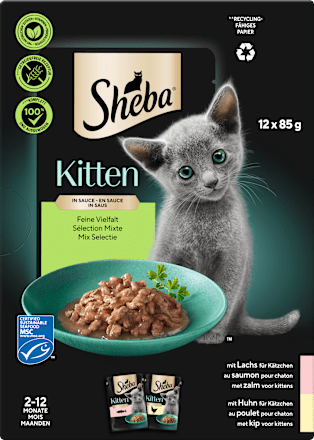 Nassfutter Katze Kitten mit Lachs & Huhn, feine Vielfalt in Sauce, Junior Multipack (12x85 g) Sheba