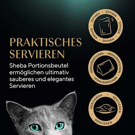 Nassfutter Katze, Delikatesse in Gelee - Geflügel Variation, Multipack (12x85 g) Sheba