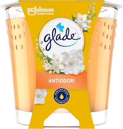 Candela assort. glade
