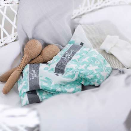 Windeln Premium Gr. 1 (3-5 kg) Rascal+Friends