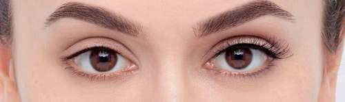 Künstliche Wimpern Fluttery Light 117 Multipack (3 Paar) Eylure