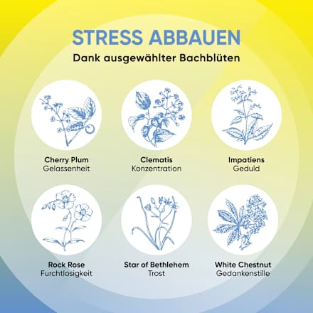 Bachblüten Nachtruhe Tropfen Bach RESCURA