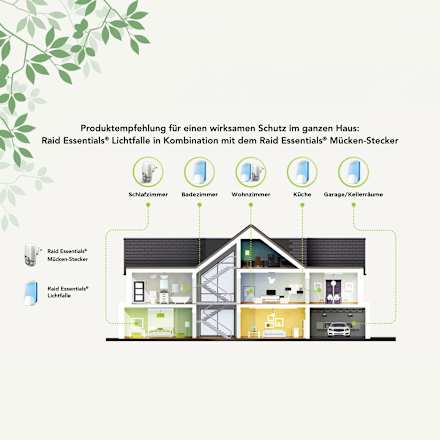 Lichtfalle Raid ESSENTIALS