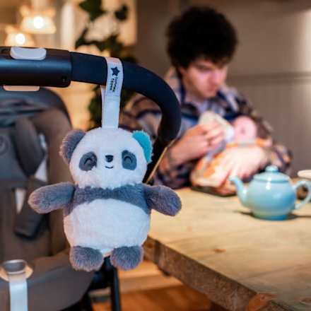 Einschlafhilfe wiederaufladbar für unterwegs, Pip der Panda Tommee Tippee