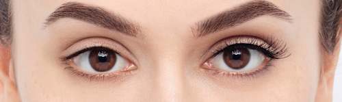 Künstliche Wimpern Fluttery Light 117 Light & Wispy (1 Paar) Eylure