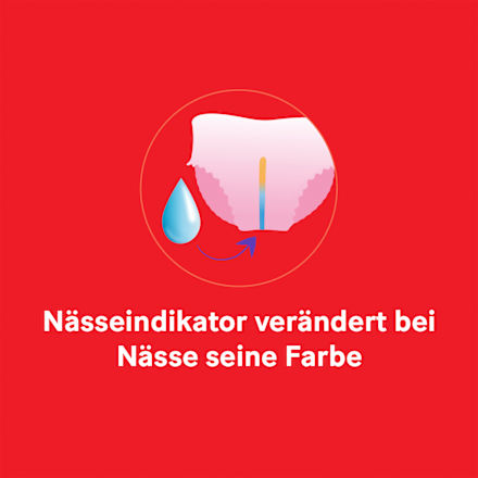 Baby Pants Little Movers Gr.5 (12-17 kg), Giga-Pack Huggies