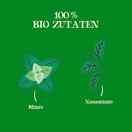 Kräutertee "Nachhaltige Minze" (20 Beutel) Cupper