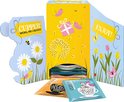 Tee Selection Box 8 Sorten "For You Selection" (24 Beutel) Cupper