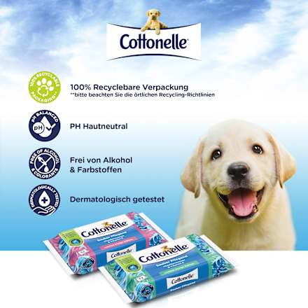 Feuchtes Toilettenpapier Sauber Pflegend Cottonelle