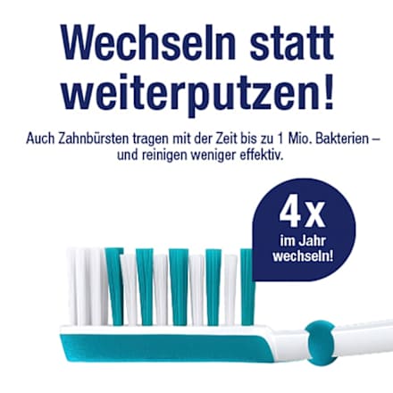 Zahnbürste Interdent Aktiv Mittel Travel Edition Dr. Best