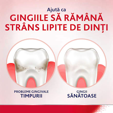 Apă de gură Daily Gum Care Fresh Mint parodontax