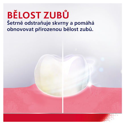 zubní pasta Posílení a Ochrana dásní Whitening parodontax