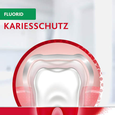 Zahnpasta Fluorid Parodontax