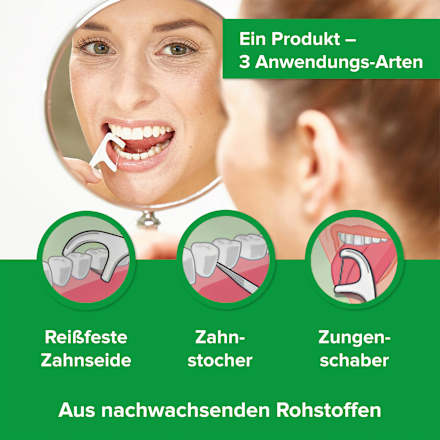 Zahnseidesticks Complete Clean DenTek