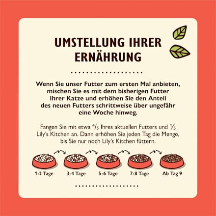 Nassfutter Katze mit Lachs & Huhn, smooth paté LILY'S KITCHEN