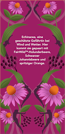 Kräutertee Holunderbeere & Echinacea (20 Beutel) pukka