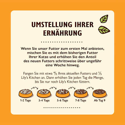 Nassfutter Katze mit Huhn, smooth paté LILY'S KITCHEN