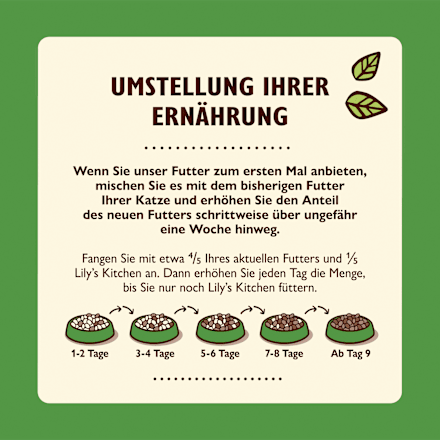 Nassfutter Katze mit Lamm, smooth paté LILY'S KITCHEN