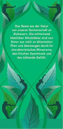 Kräutertee "Drei Minze" mit Pfefferminze, Grüner Minze & Ackerminze (20 Beutel) pukka