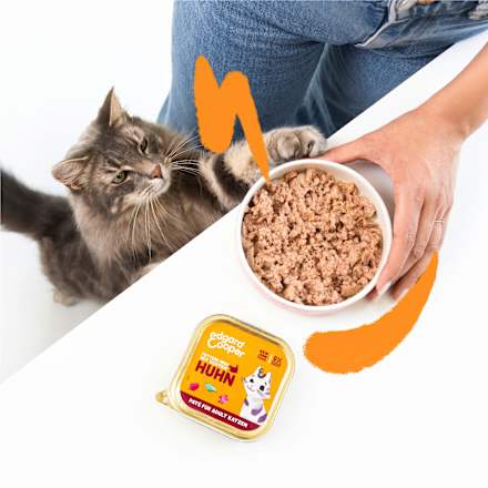 Nassfutter Katze mit Huhn Lachs, Lamm & Truthahn, Paté Multipack (8x85 g) Edgard & Cooper