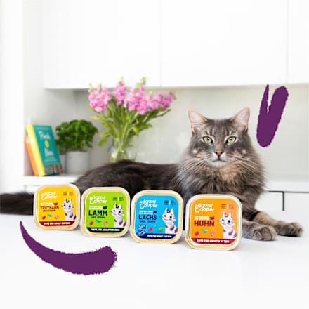 Nassfutter Katze mit Huhn Lachs, Lamm & Truthahn, Paté Multipack (8x85 g) Edgard & Cooper