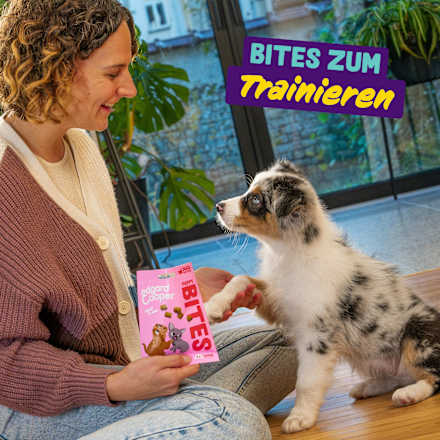 Hundeleckerli mit Huhn, small Bites Family Pack Edgard & Cooper