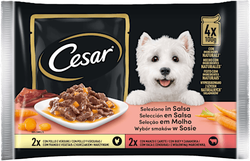 Selezione in salsa cibo umido per cani adulti Cesar