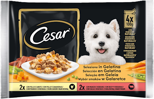 Selezione in gelatina cibo umido per cani adulti Cesar