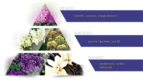 Solare Eau de Parfum LA RIVE