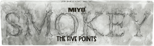 Paleta cieni do powiek Five Points 02 Smokey Miyo