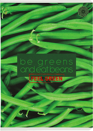 Zeszyt, A5 kratka, 60 kartek ziemia obiecana