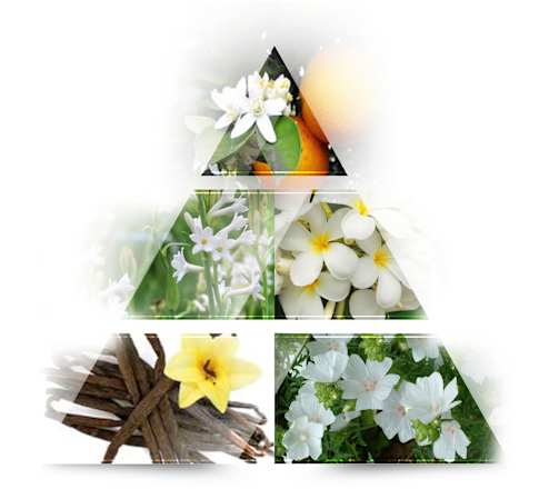 Geschenkset Her Choice LA RIVE