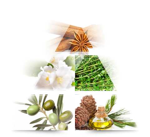 Secret of Beauty Eau de Parfum LA RIVE