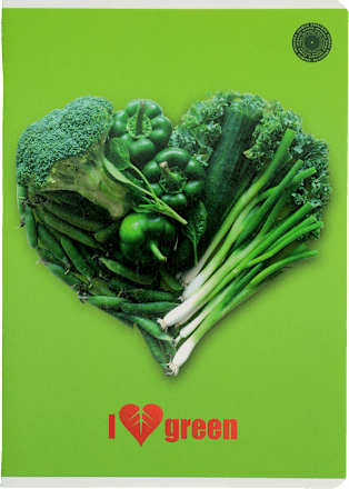 Zeszyt, A5 kratka, 60 kartek ziemia obiecana