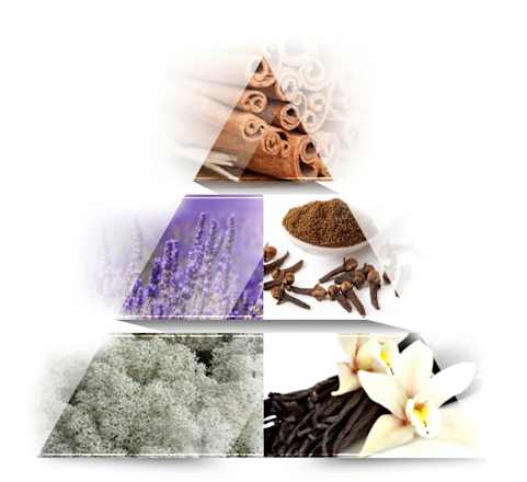 Geschenkset Cabana Man Eau de Toilette & Duschgel 2tlg LA RIVE