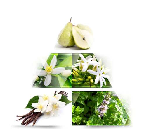 Eau de Parfum Metaphor LA RIVE