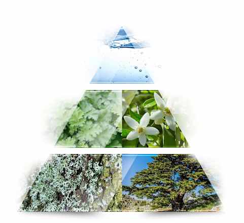 Distant Wave Eau de Toilette LA RIVE