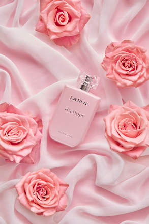 Poetique edp  LA RIVE