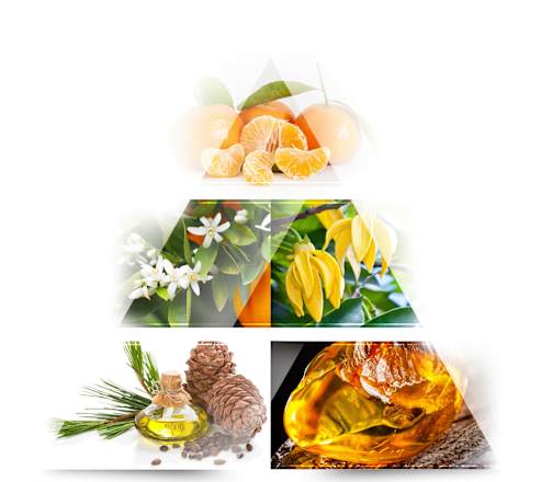 Dámska parfumovaná voda Elixir La Rive