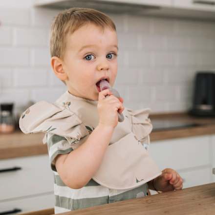 Suzetă pentru fructe&legume cu 3 tetine babysnugg