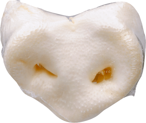 Jutalomfalat kutyáknak, disznóorr JACK