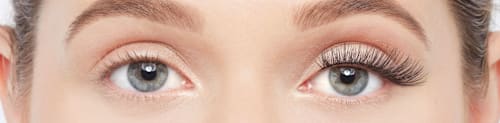 Künstliche Wimpern Lash Illusion 307 Faux Mink (1 Paar) Eylure