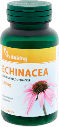 Echinacea kapszula Vitaking
