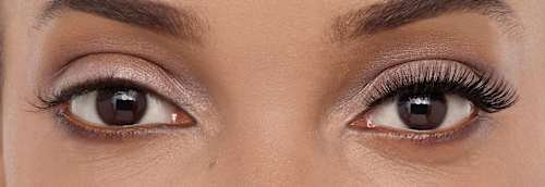 Künstliche Wimpern Volume 102 Light Volume (1 Paar) Eylure