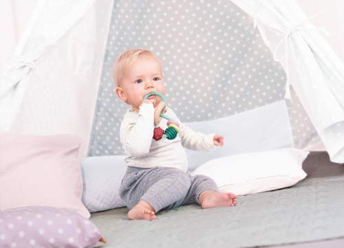 Greifling Gregor Hape