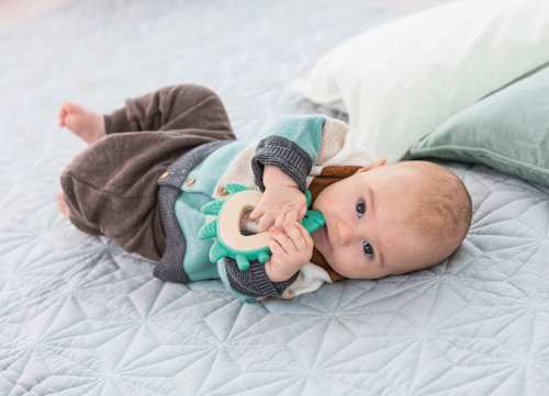 Beißring Igel Ida Hape