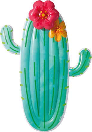 Luftmatratze Cactus Float INTEX