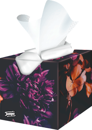 Taschentücher Box Tempo